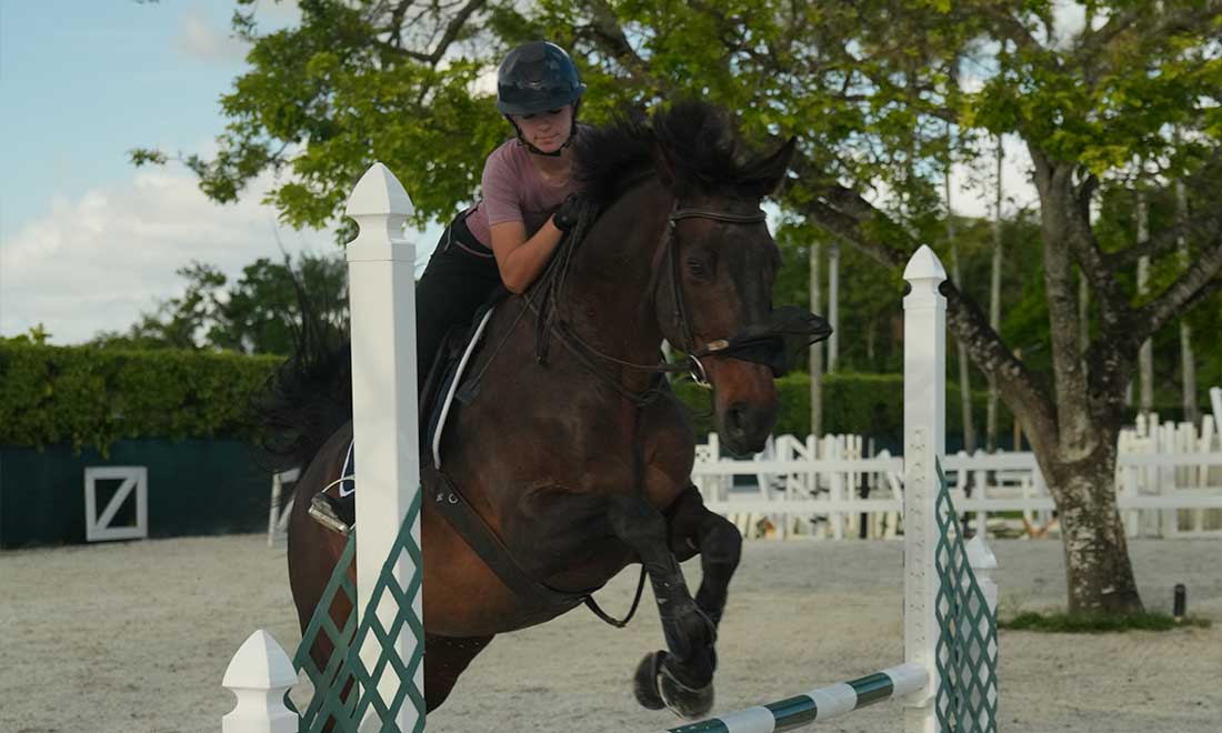 Competition & Show Preparation