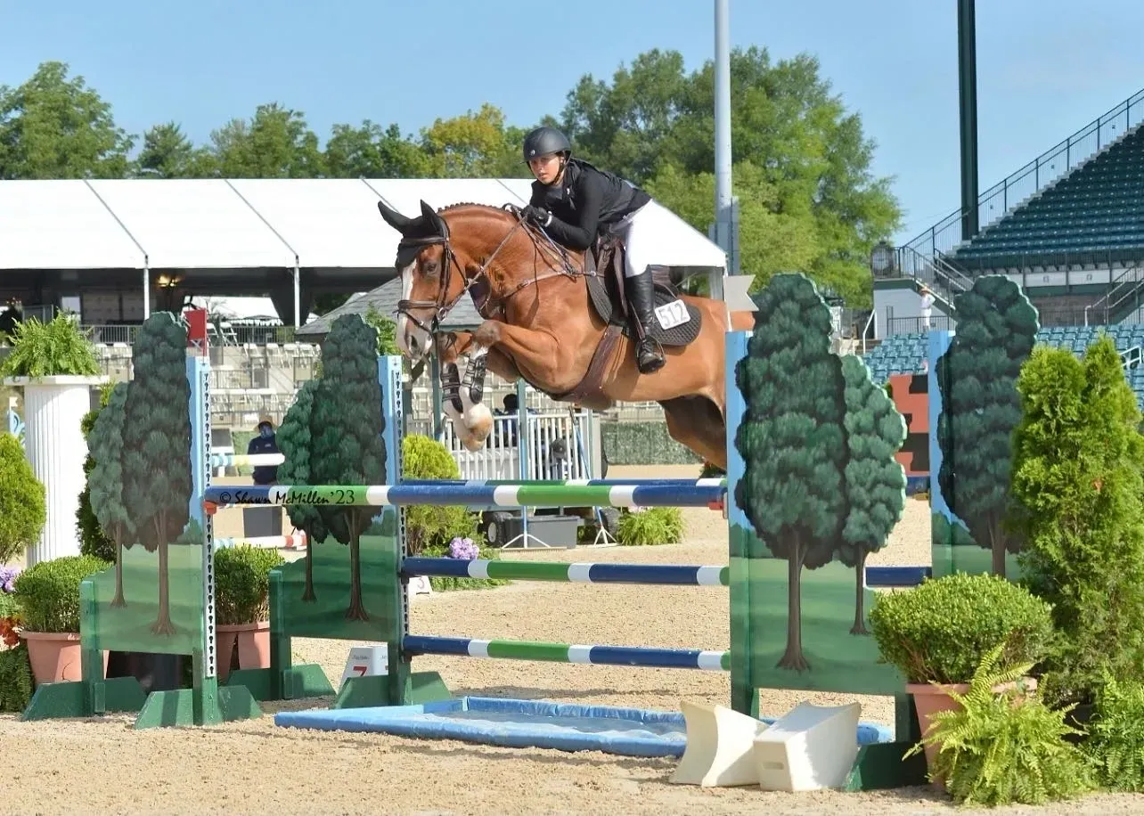 Horse Jumping